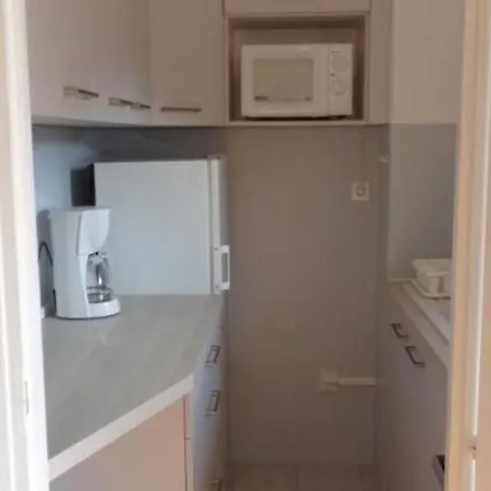 F1 Avec Loggia, Wifi Et Garage A Amelie-les-bains - Fr-1-703-16