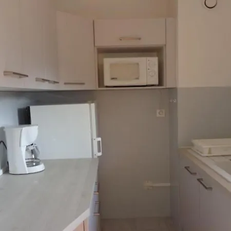 F1 Avec Loggia, Wifi Et Garage A Amelie-les-bains - Fr-1-703-16 *